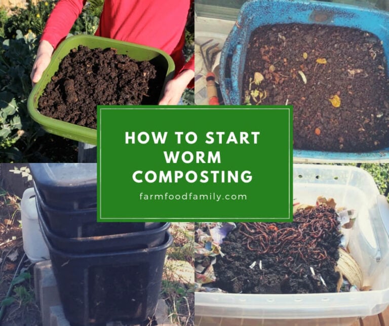 Recycle Kitchen Waste into Compost by Using Worms