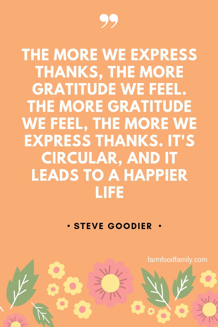 gratitude quotes