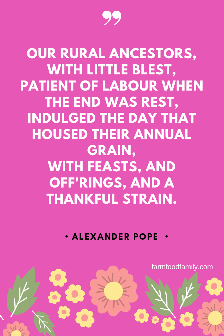 Thanksgiving quotes