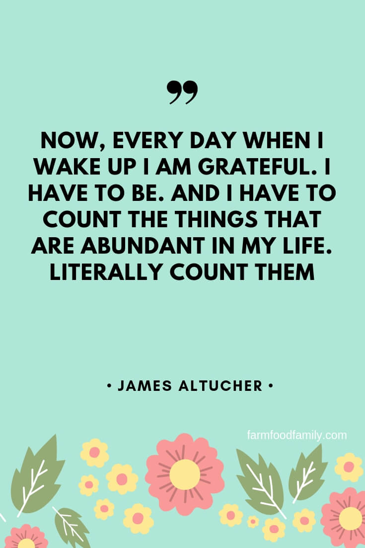 inspirational quotes being grateful