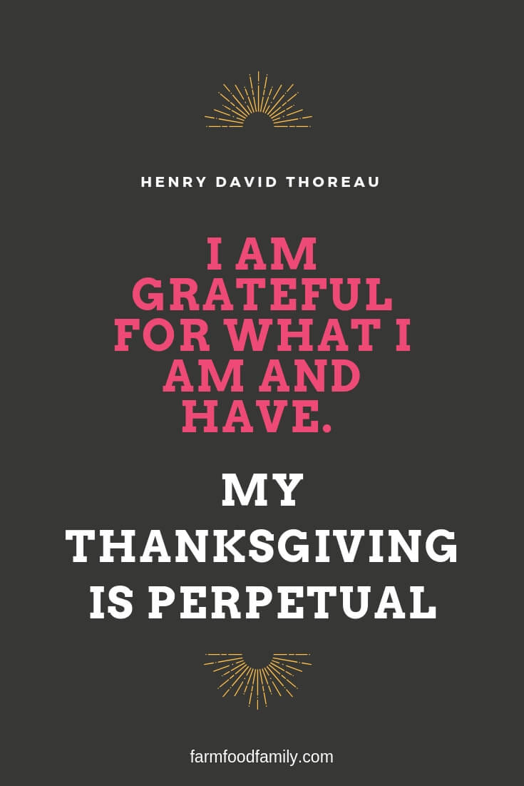 i am grateful quotes