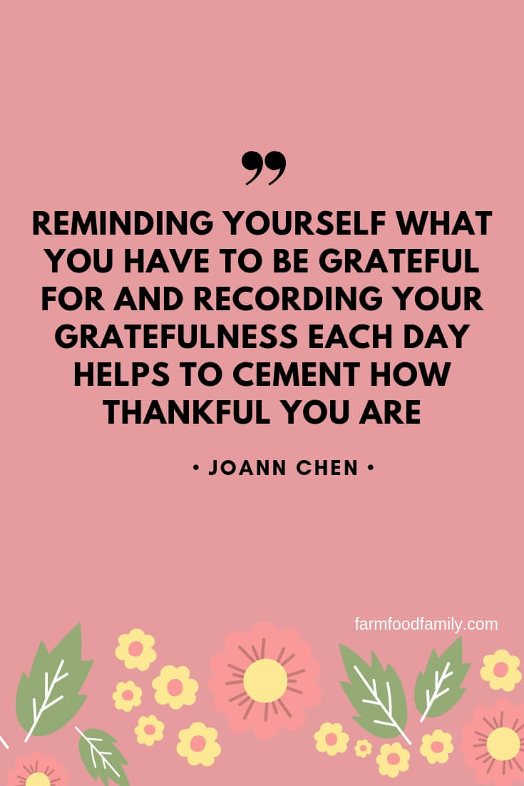 gratitude quotes