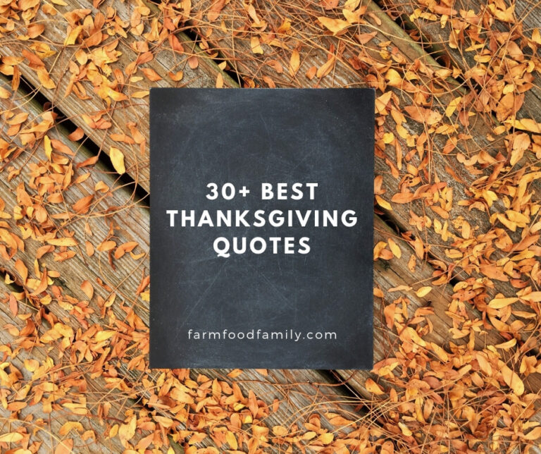 Best thanksgiving quotes for friends and family
