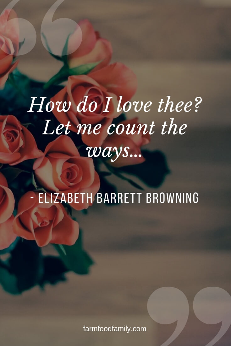 1 valentines day love poems