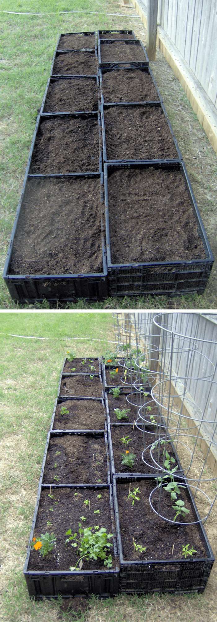 Square food garden with plastic crates