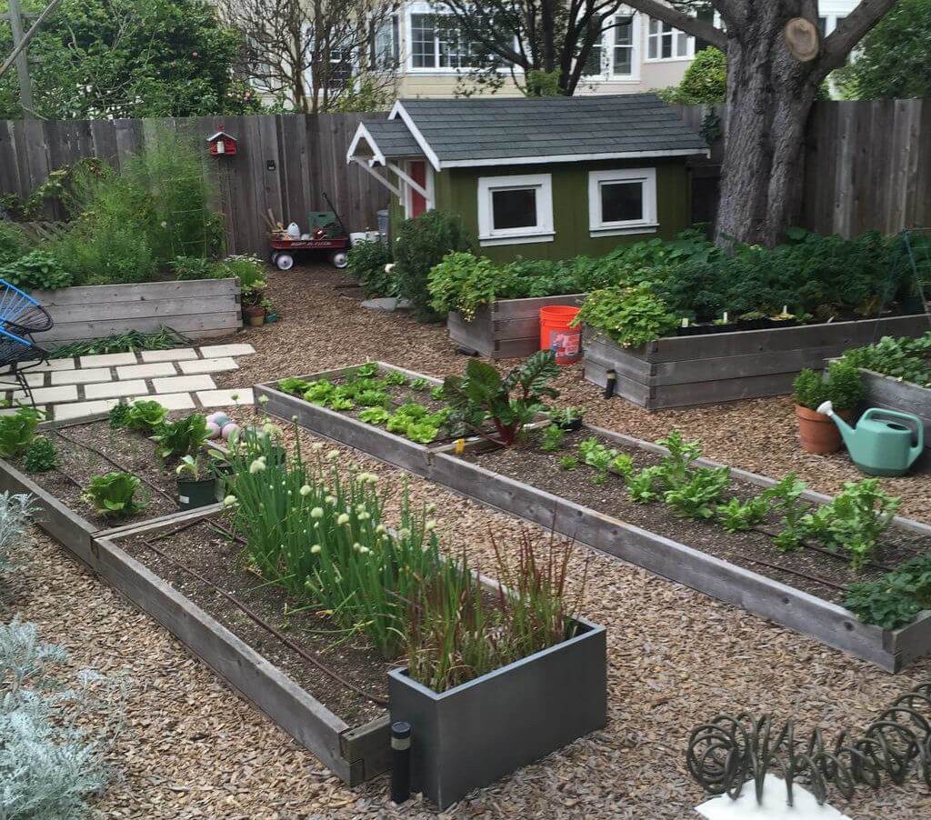 Urban Farming: Raised Bed Gardening
