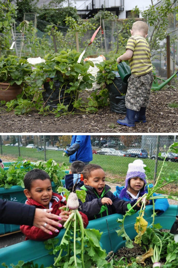 7 container garden ideas for kids