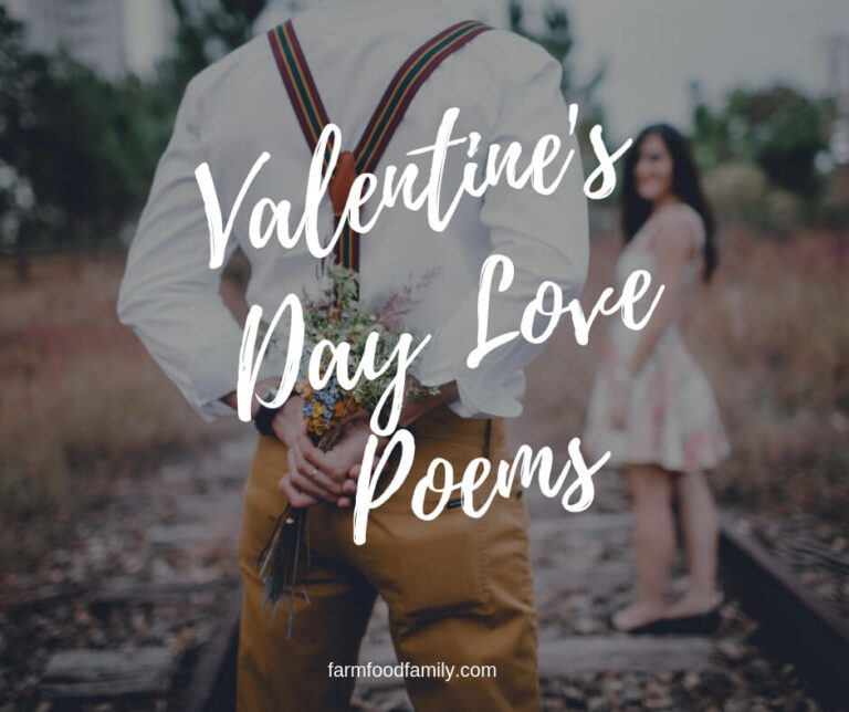 Quote Romantic Valentines Day Poetry for a Unique Valentine Gift