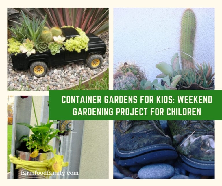 Container Gardens for Kids: Weekend Gardening Project for Children