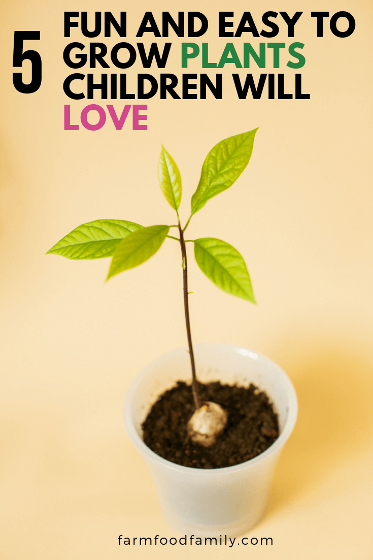 easy plants to grow for children