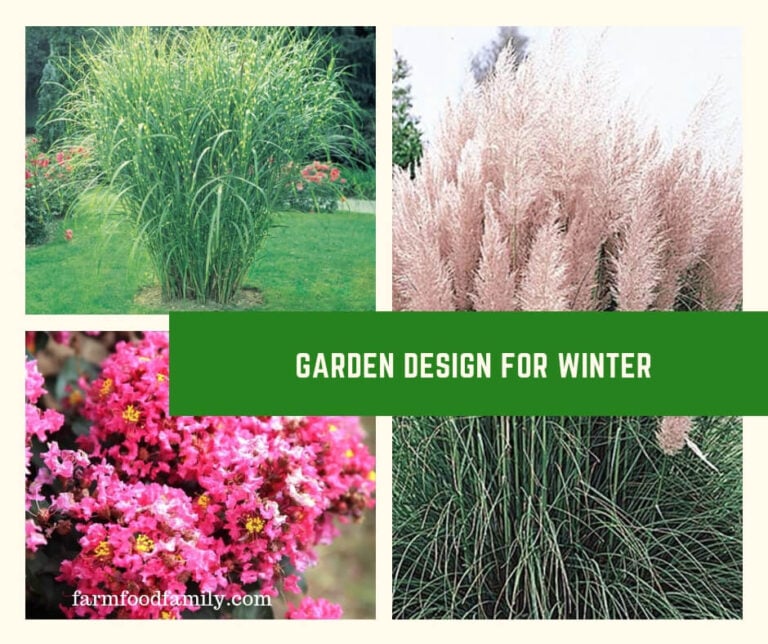 Garden Design for Winter: Design a Garden for Year Round Enjoyment