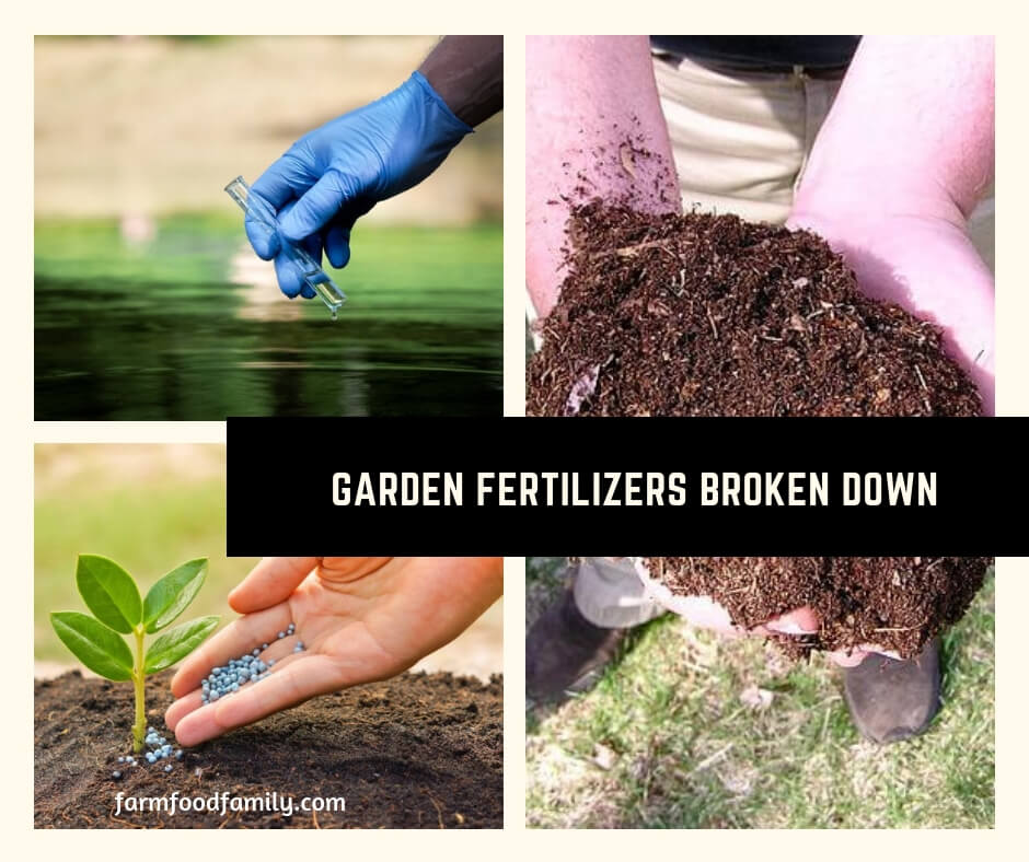 Garden Fertilizers Broken Down: What Does “N P K” have to do with Gardening?