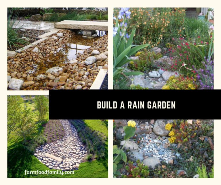How to build rain garden