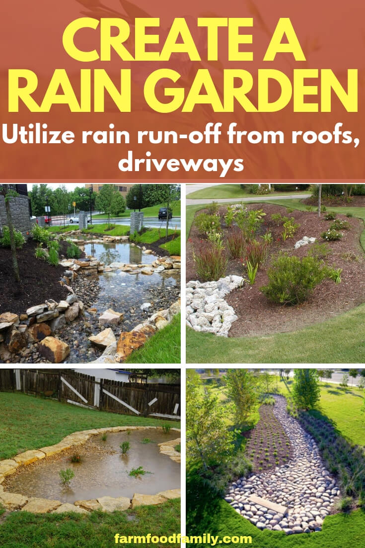 Create a Rain Garden, Utilize Rain Run-off from Roofs, Driveways