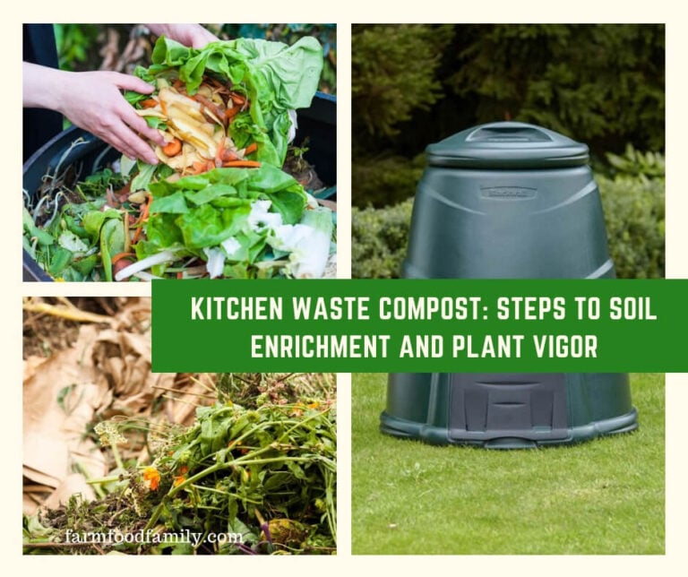 Kitchen Waste Compost: Steps to Soil Enrichment and Plant Vigor