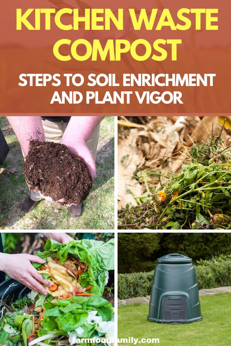 Kitchen Waste Compost: Steps to Soil Enrichment and Plant Vigor