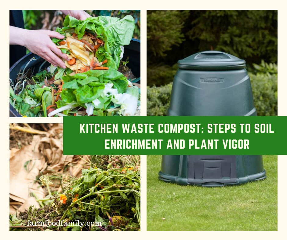 Kitchen Waste Compost: Steps to Soil Enrichment and Plant Vigor