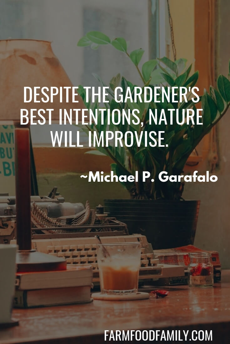 16 Quotes for Houseplant Lovers (Indoor Gardening)
