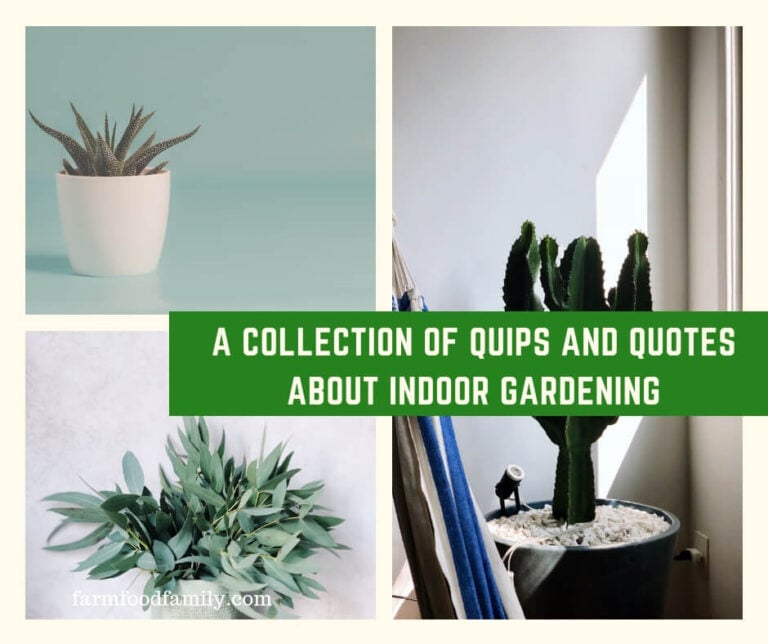 A Collection of Quips and Quotes About Indoor Gardening