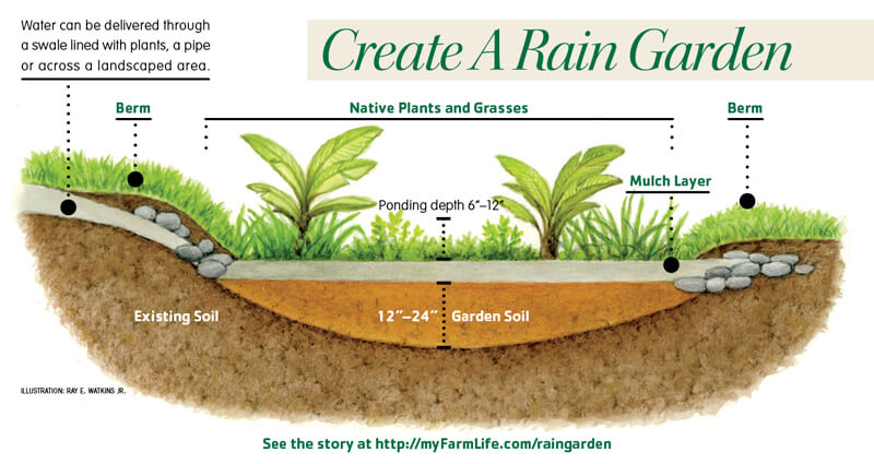 How to build a rain garden
