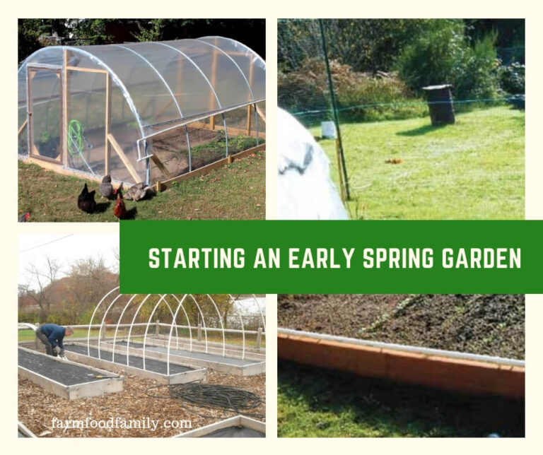 Starting an Early Spring Garden
