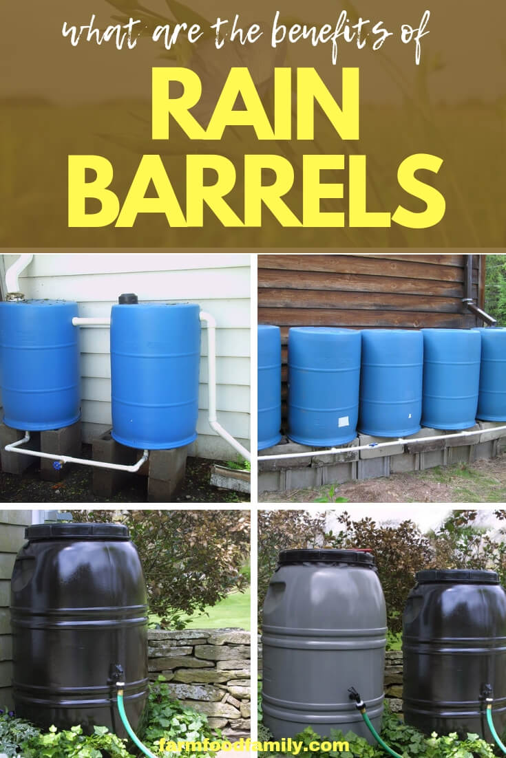 What are the Benefits of Rain Barrels?