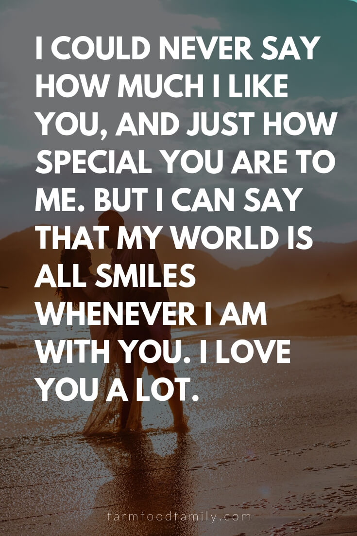 Cute, Funny, and Sweet Love Quotes For Him | I could never say how much I like you, and just how special you are to me. But I can say that my world is all smiles whenever I am with you. I love you a lot.
