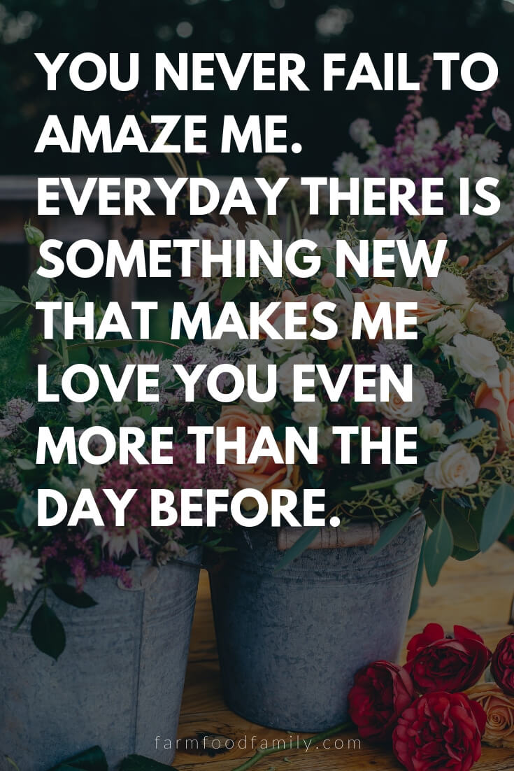 Cute, Funny, and Sweet Love Quotes For Him | You never fail to amaze me. Everyday there is something new that makes me love you even more than the day before.