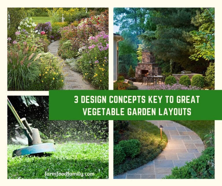 3 Design Concepts Key to Great Vegetable Garden Layouts