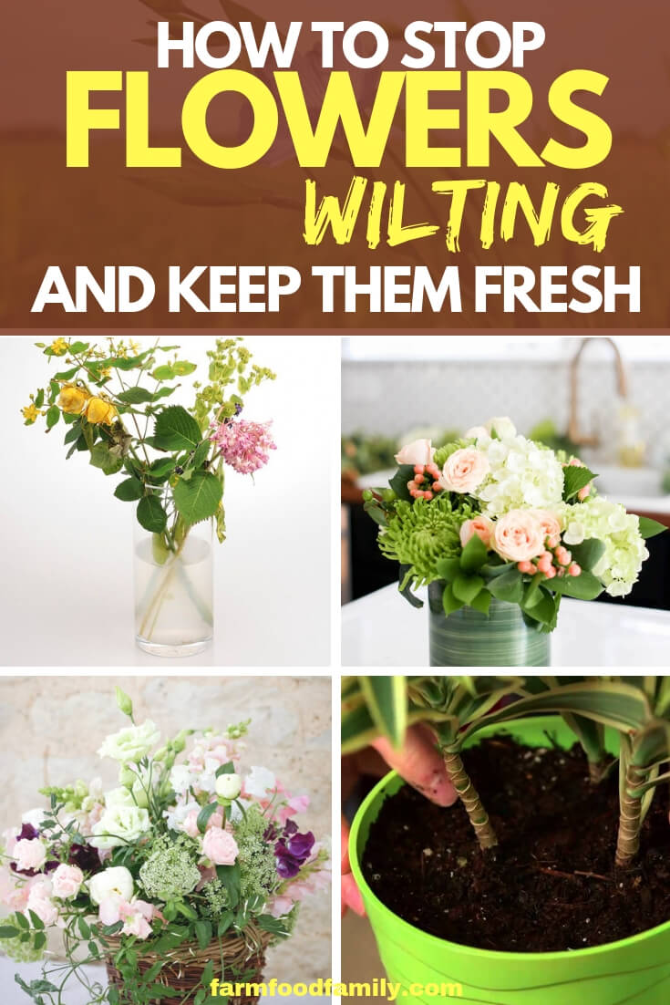 How to Stop Flowers Wilting and Keep Them Fresh