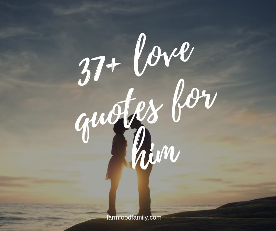 37+ Cute and Sweet Love Quotes For Him With Images
