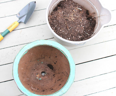 Soil for Herb containers