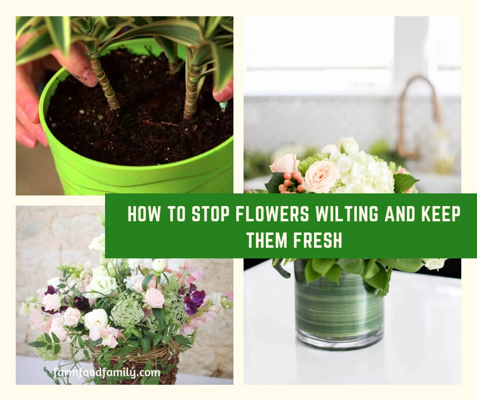 How to Stop Flowers Wilting and Keep Them Fresh