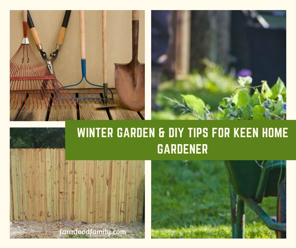 Winter Garden & DIY Tips for Keen Home Gardener