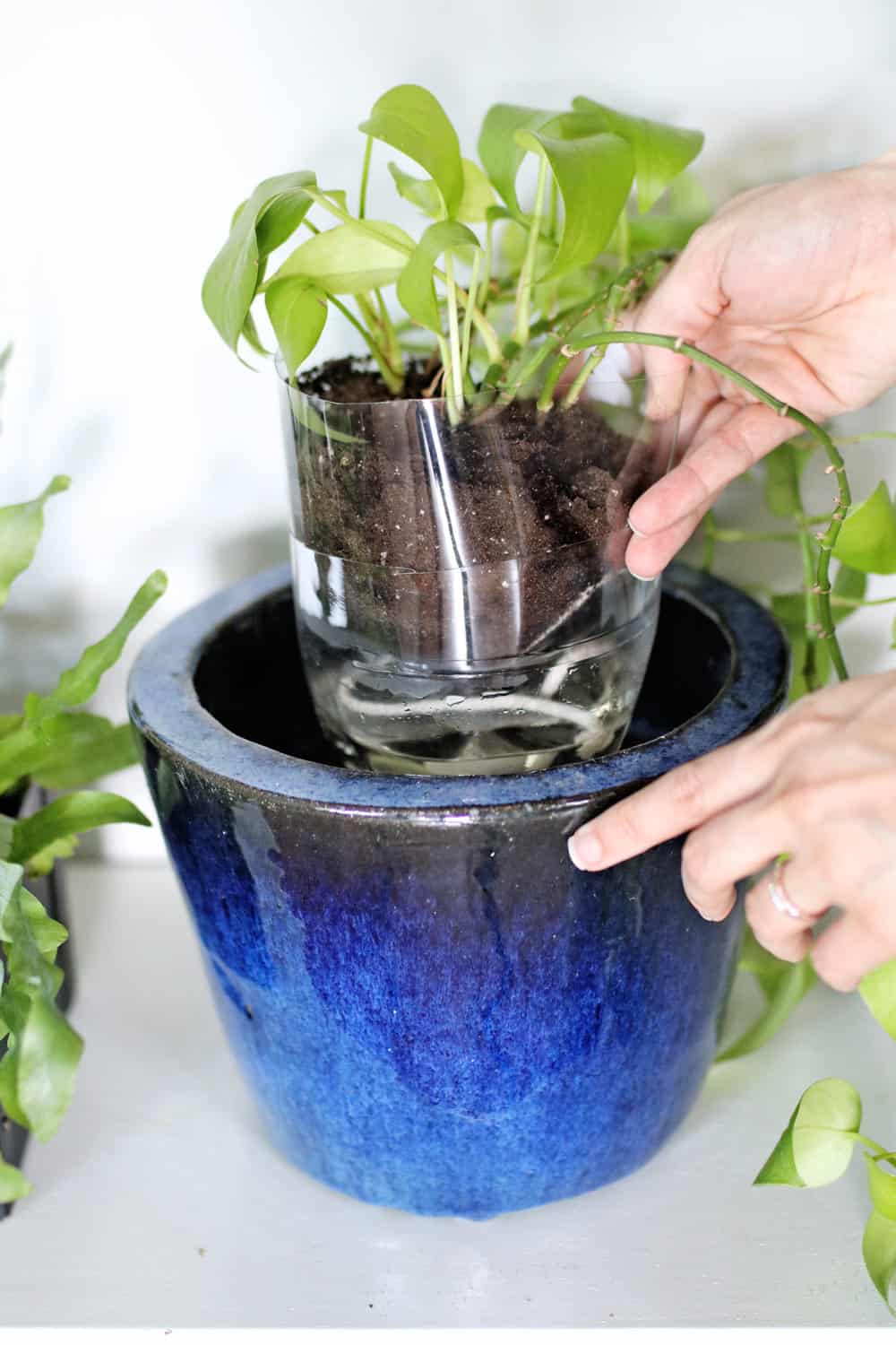 Soda Bottle Planter | Best DIY Self-Watering System Ideas