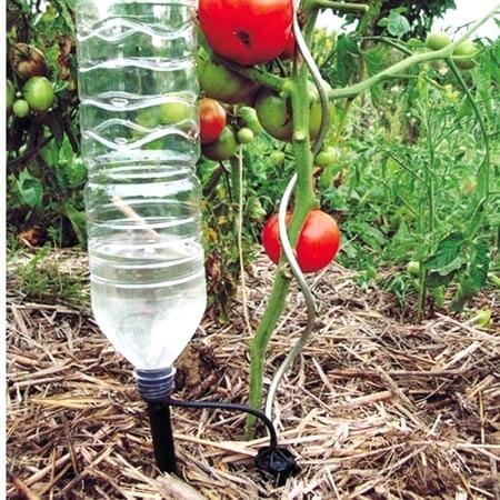 Watering system for tomatoes | Best DIY Self-Watering System Ideas