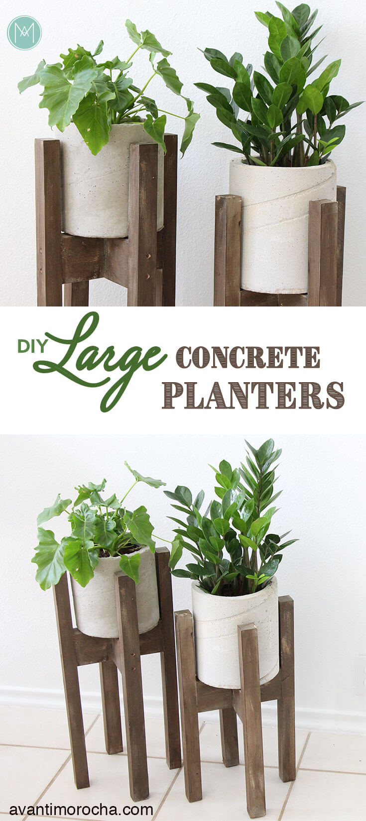 Large Concrete Planters