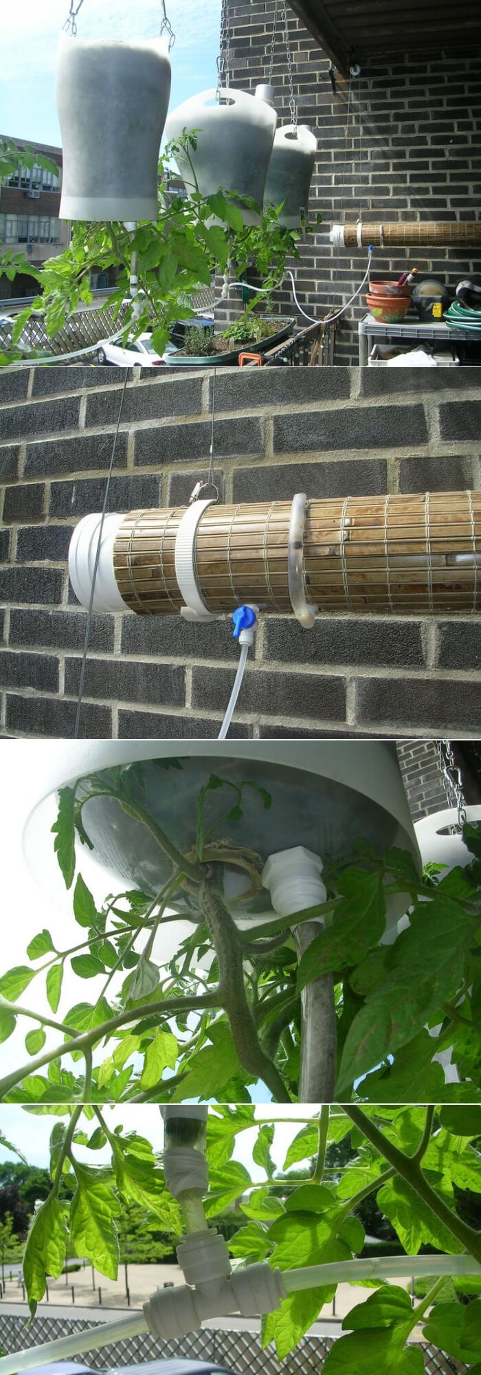 Upside-Down Hanging Self-Watering | Best DIY Self-Watering System Ideas