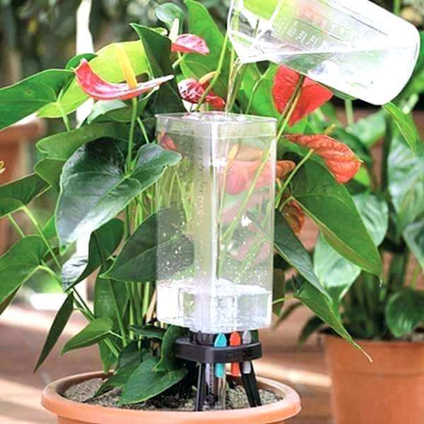 Best DIY Self-Watering System Ideas