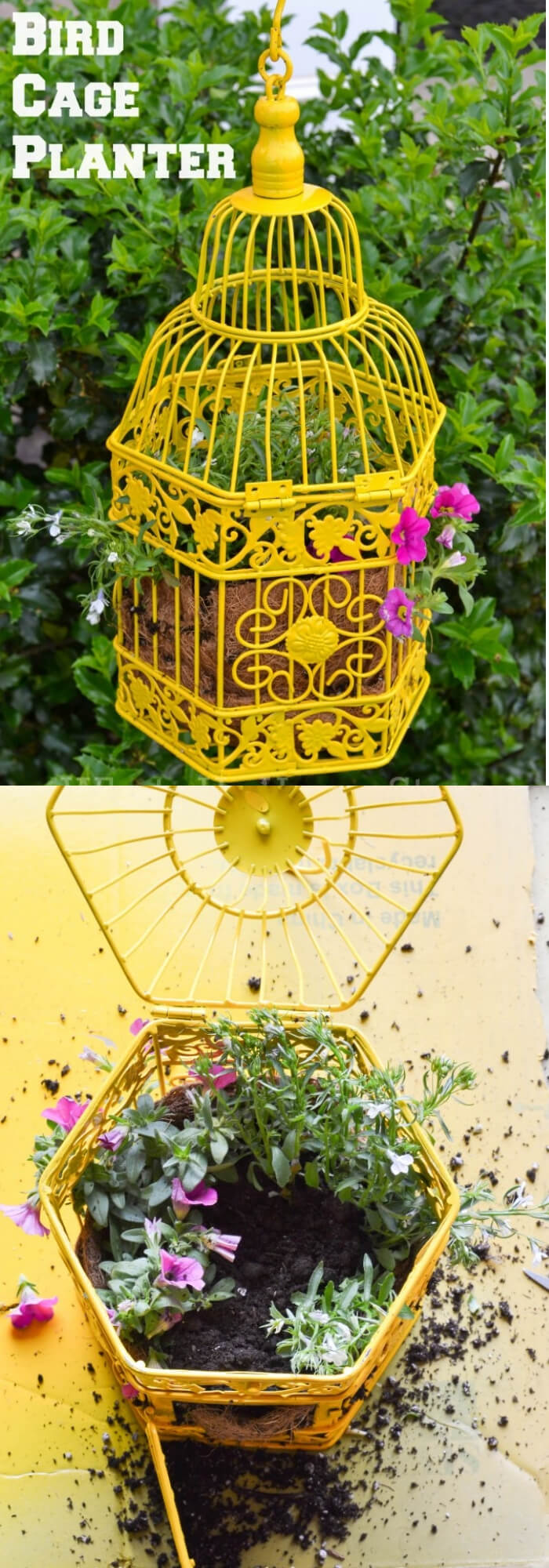 Yellow Bird Cage Planter