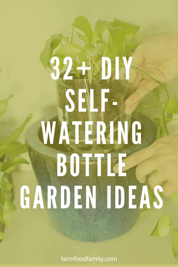 32 self watering bottle garden ideas
