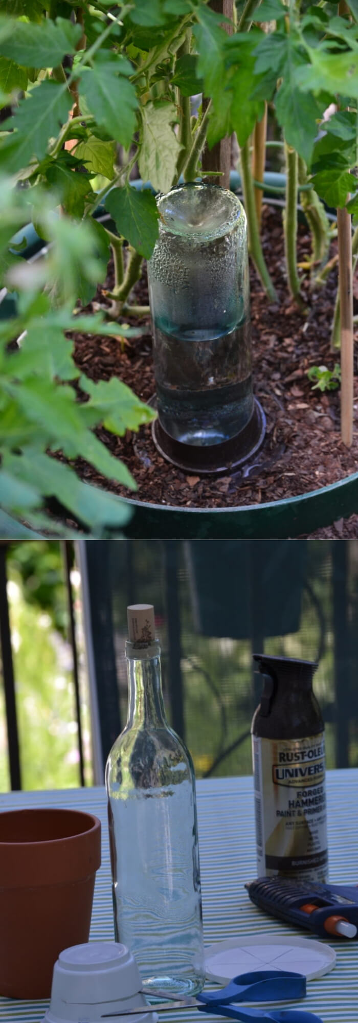 DIY Self-Watering Planters from Wine bottle | Best DIY Self-Watering System Ideas