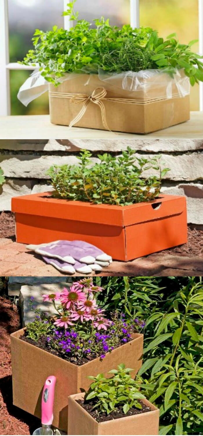 Cardboard Gardening | Best Repurposed Garden Ideas Using Shoe Box