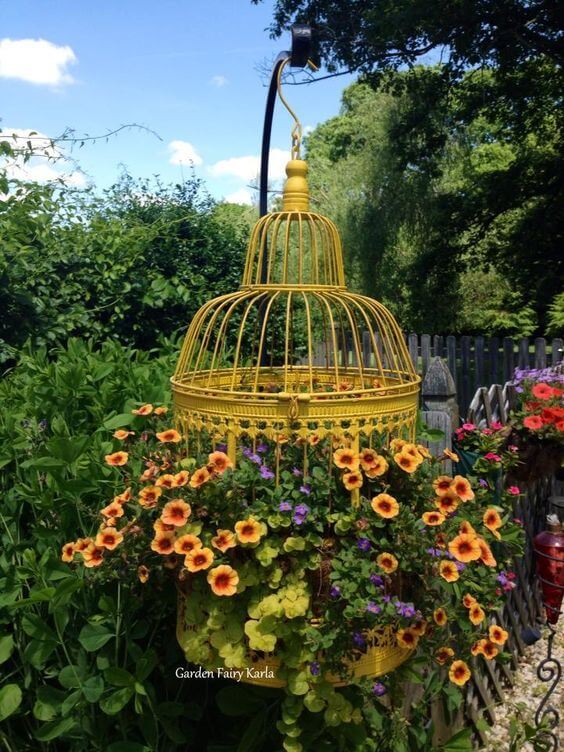 Bird Cage Container Garden
