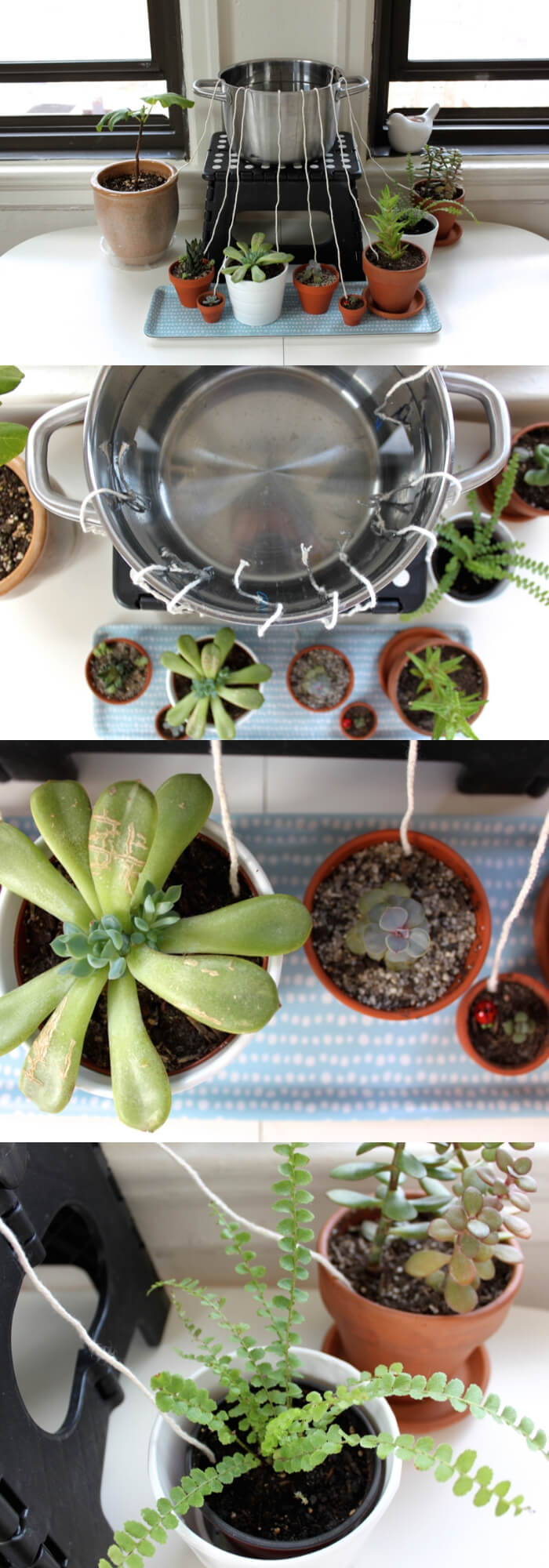 Self-watering for houseplants | Best DIY Self-Watering System Ideas