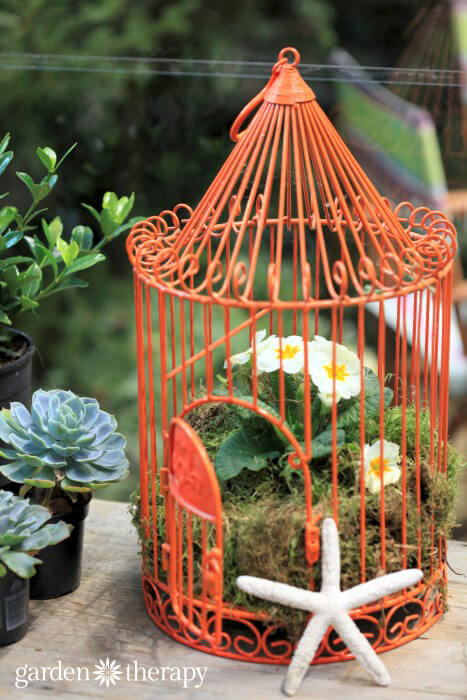 Bird Cage Planters from the blue greenhouse
