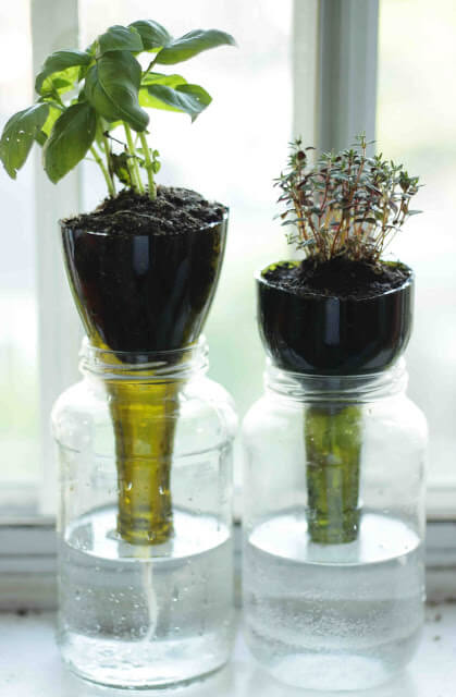 Self-Watering Glass Planters | Best DIY Self-Watering System Ideas