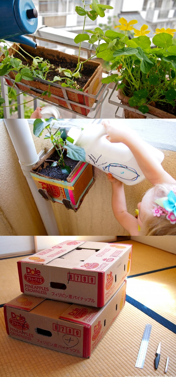 Urban Cardboard Planters | Best Repurposed Garden Ideas Using Shoe Box
