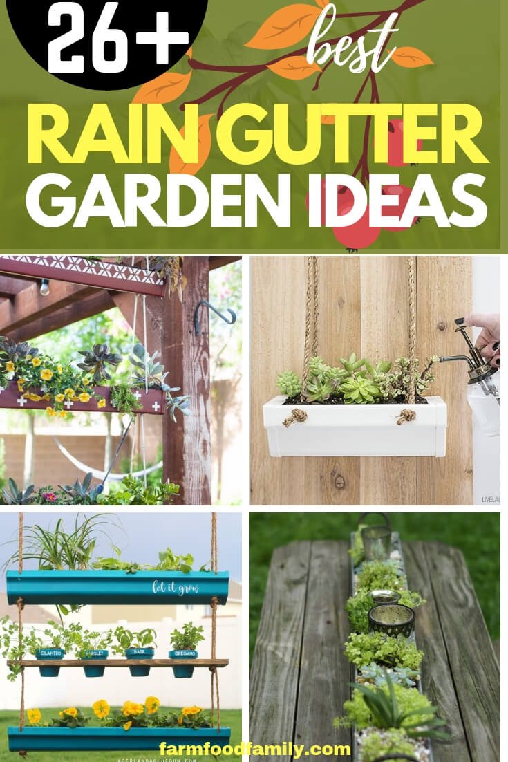 Best DIY Vertical Rain Gutter Garden Ideas For Small Spaces