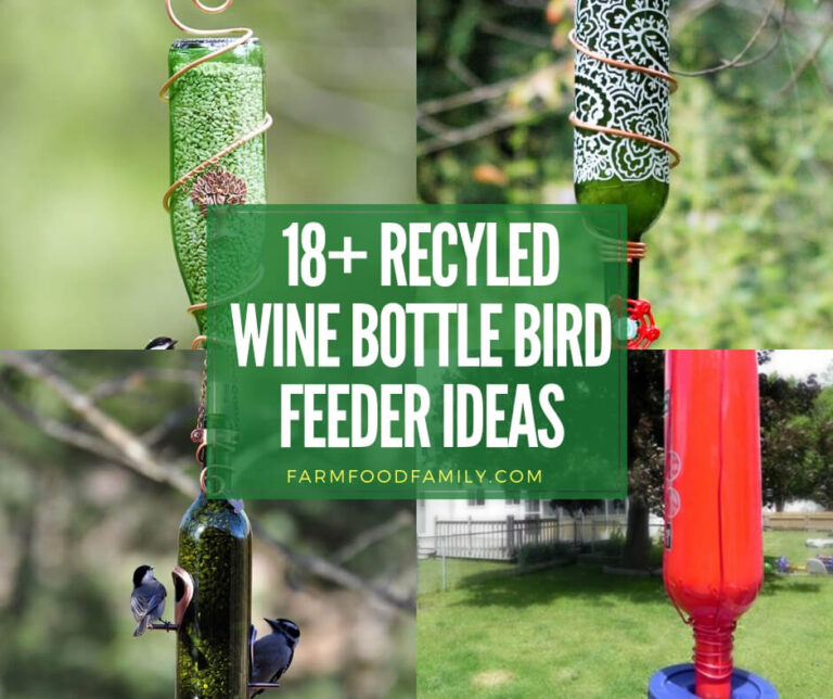 Recycled wine bottle bird feeder ideas